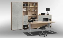 Aktenregal Success | Eiche Sonoma (Nachbildung) 214,5|cm 80|cm