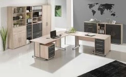 Aktenregal Success | Edelbuche (Nachbildung) 214,5|cm 80|cm