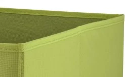 Aufbewahrungsbox | Grün 11 Aufbewahrungsbox | Grün -Deutschland Regale Verkaufs-Shop 10562555 5 202202252232