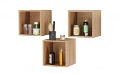 Hängerregale Bötzsee | Asteiche (Nachbildung) -Deutschland Regale Verkaufs-Shop 11064864 4 202206241234