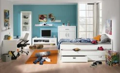 PAIDI Wandregal Fiona