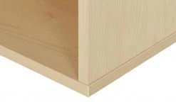 PAIDI Regal Fleximo -Deutschland Regale Verkaufs-Shop 11114652 4 202006251419