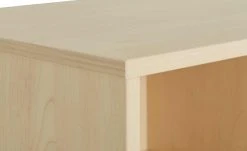 PAIDI Regal Fleximo -Deutschland Regale Verkaufs-Shop 11114652 6 202006251419