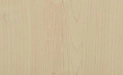 PAIDI Regal Fleximo -Deutschland Regale Verkaufs-Shop 11114652 7 202006251419