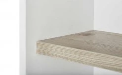 PAIDI Wandregal mit Schiebetür Carlo -Deutschland Regale Verkaufs-Shop 11118100 4 201811271555