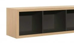 now! by hülsta Hängeelement now! touch | Samteiche Natur Supermatt Schwarz 4|Stück waagerecht -Deutschland Regale Verkaufs-Shop 11229847 3 202203231234