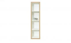 now! by hülsta Hängeelement now! touch | Samteiche Natur Supermatt Reinweiß 4|Stück senkrecht -Deutschland Regale Verkaufs-Shop 11229860 2 202203231234