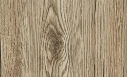 PAIDI Standregal Fionn | 180,1|cm -Deutschland Regale Verkaufs-Shop 12110012 6 201906172240