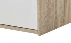 Schrägelement 1-türig Arne -Deutschland Regale Verkaufs-Shop 12113498 9 201907032242