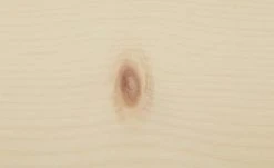 Wandboard Skog -Deutschland Regale Verkaufs-Shop 12115673 2 202107152232