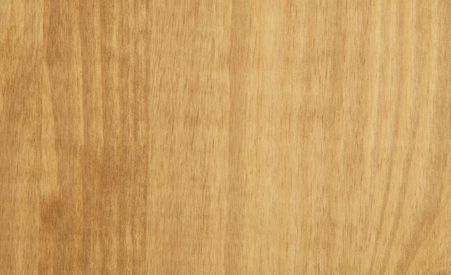 Regal Veracruz 7 Regal Veracruz – Bild 5