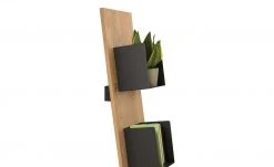 GWINNER WOHNDESIGN Standregal Style -Deutschland Regale Verkaufs-Shop 13230042 4 202006161419