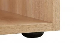 Abschlussregal Multiraumkonzept | Buche (Nachbildung) -Deutschland Regale Verkaufs-Shop 82755 5 202002282242